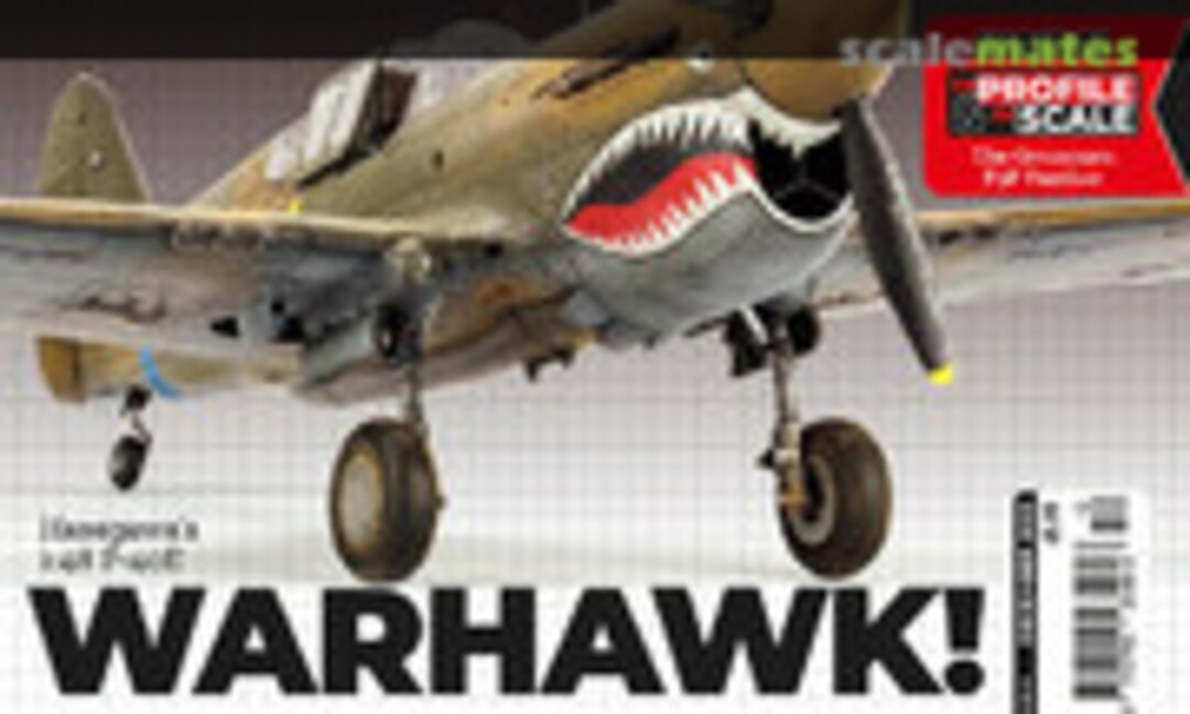 (Phoenix Aviation Modelling Issue 24)