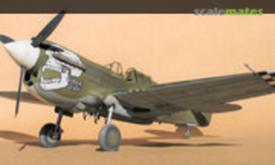 P-40E Warhawk, Hasegawa 08879 (2008)