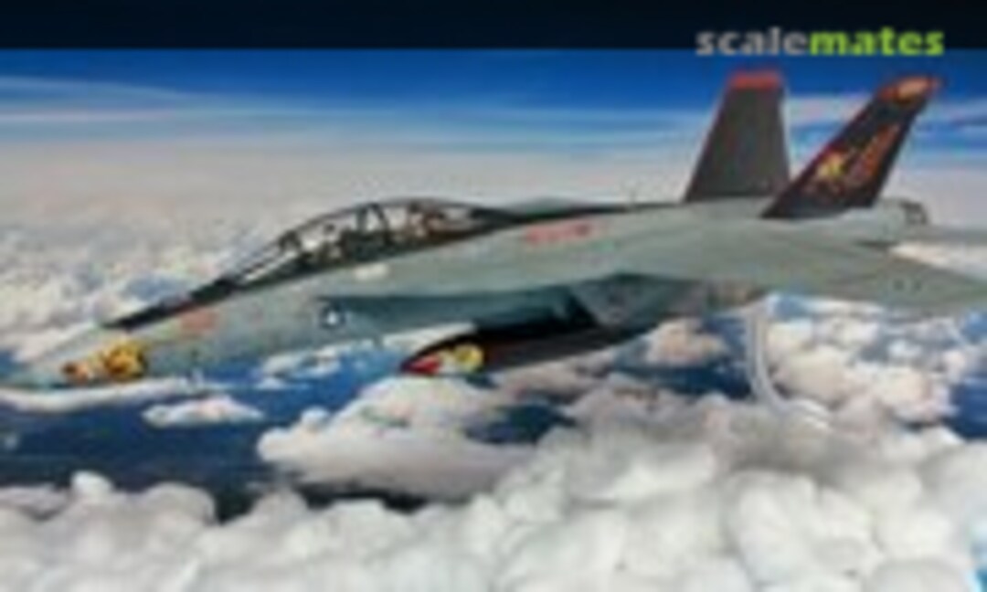 Boeing F/A-18F Super Hornet 1:48