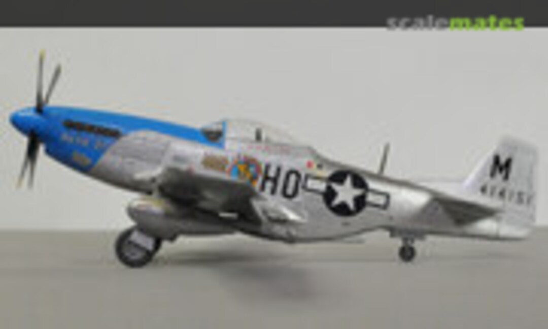 North American P-51D Mustang 1:48