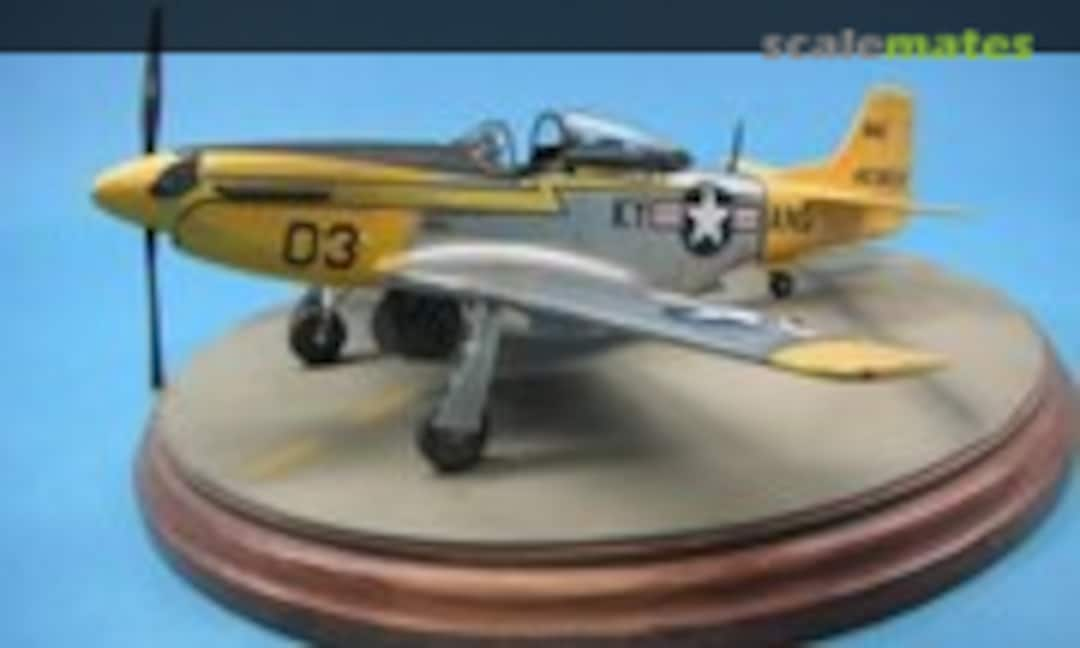 North American P-51D Mustang 1:48