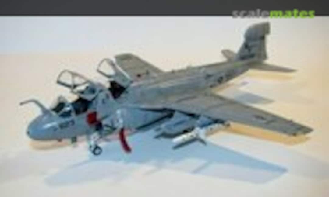 EA-6B Prowler `Wings 2001 Atsugi´, Hasegawa 00260 (2001)