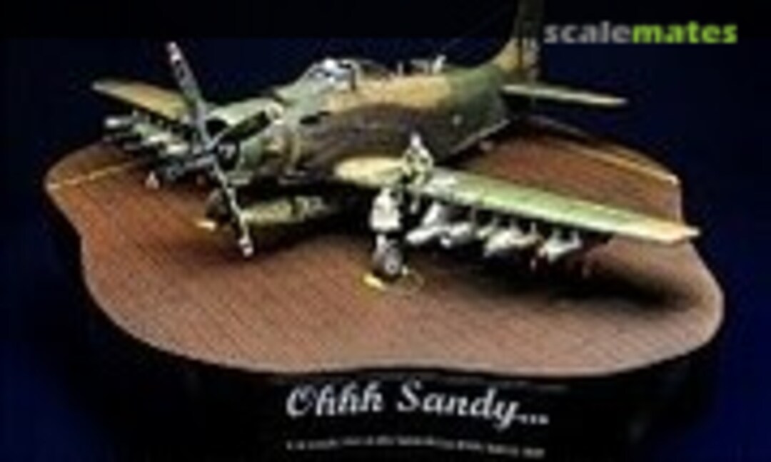 Douglas A-1H Skyraider 1:48