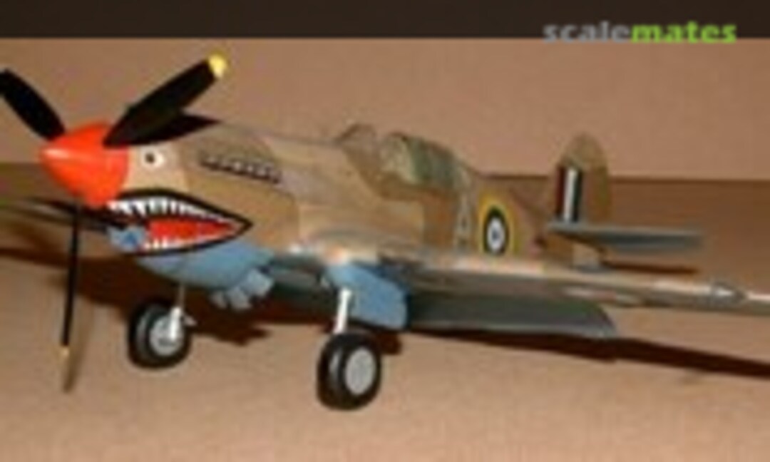 Curtiss P-40 Warhawk 1:48