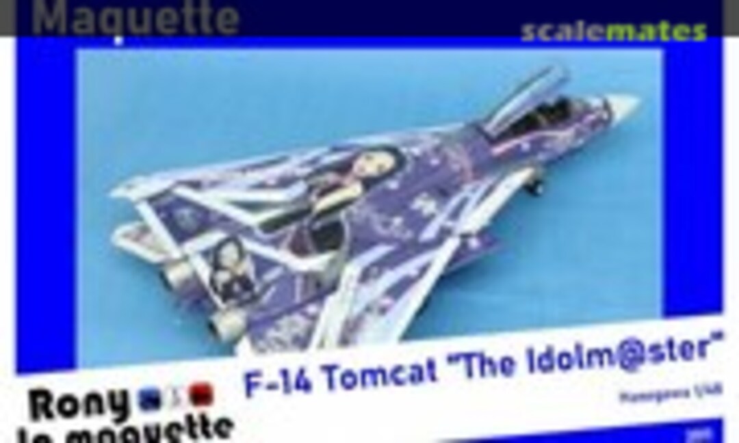F-14 Tomcat Idolmaster 1:48