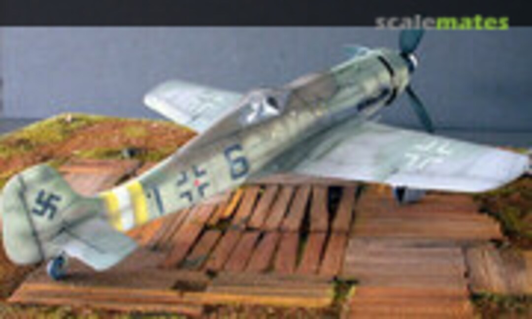 Focke-Wulf Fw 190D-9 1:48