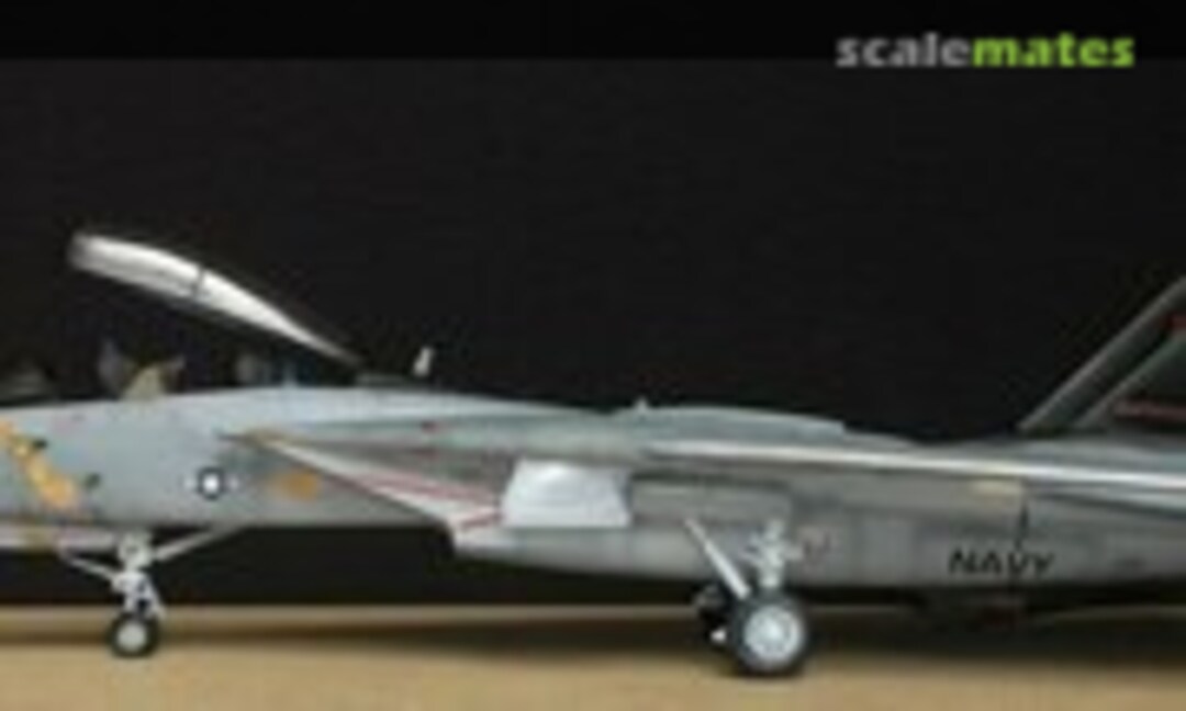 Grumman F-14D Tomcat 1:48