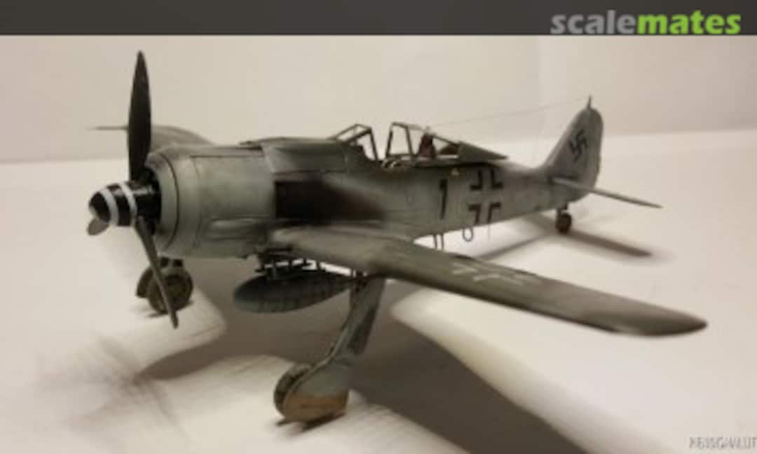 Fw 190a 8 R11 Eduard 70113x 2015