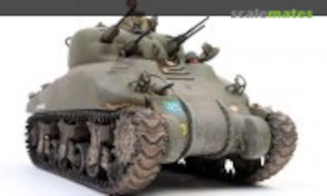 Canadian Skink 1:35