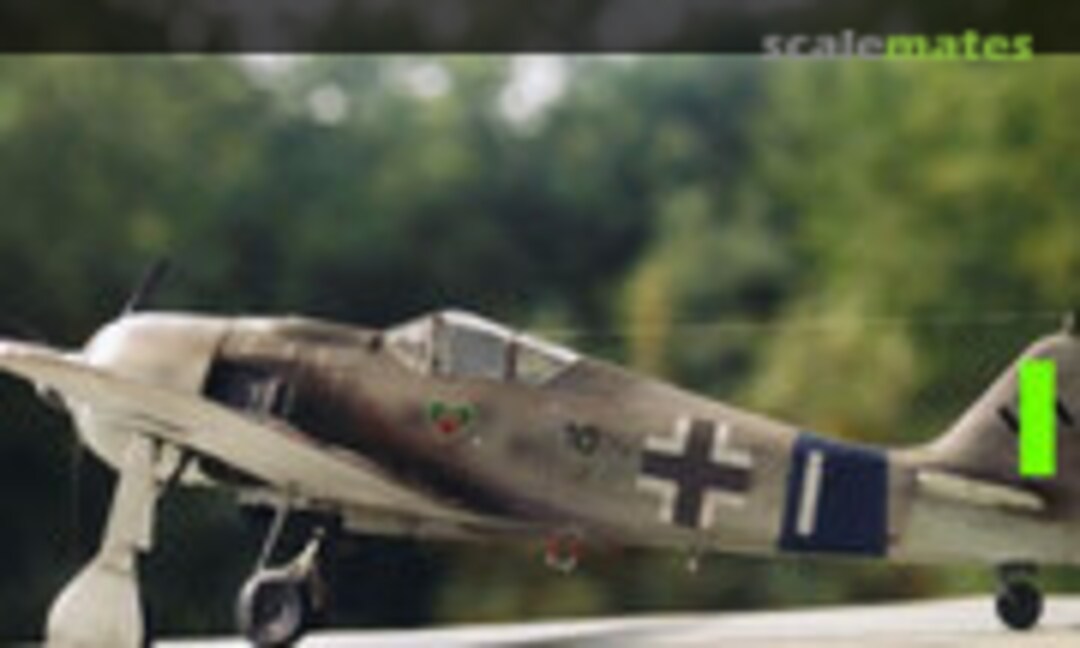 Focke-Wulf Fw 190A-8 1:48