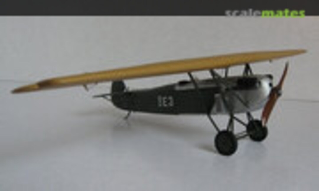 Fokker D.XXI 1:48