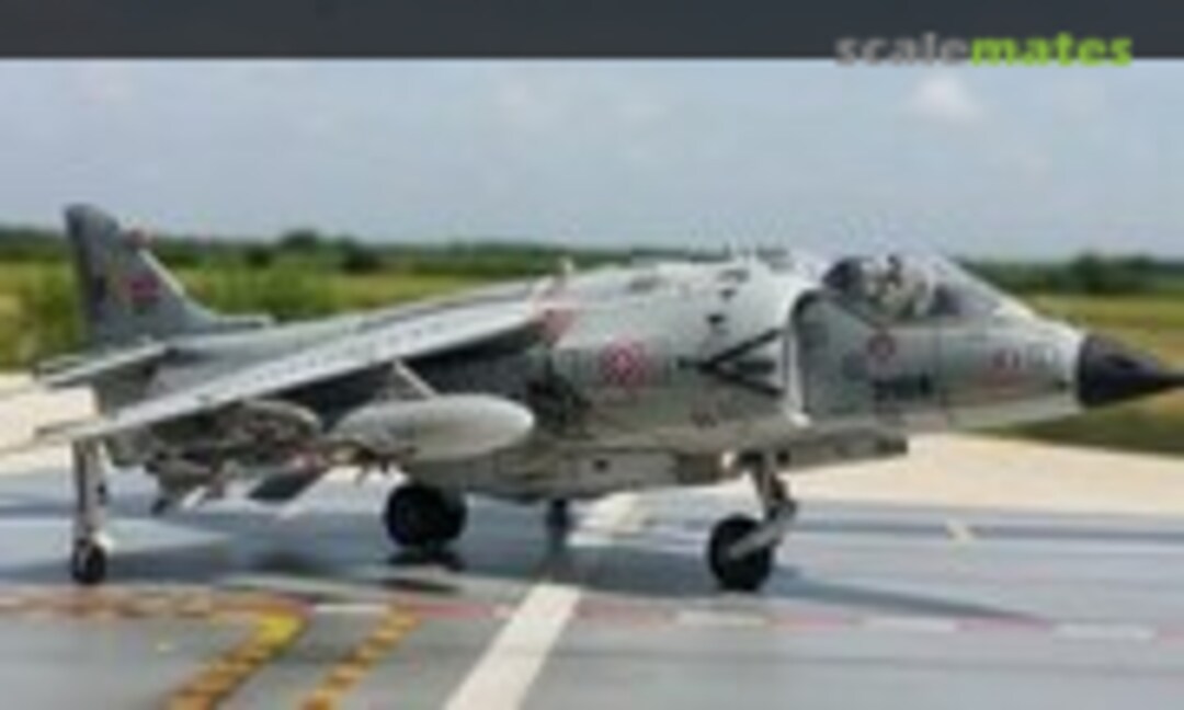 RTN AV-8S Harrier 1:72