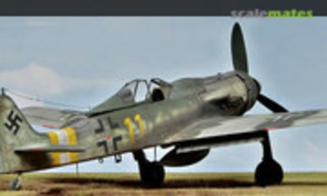 Focke-Wulf Fw 190D-9 1:24
