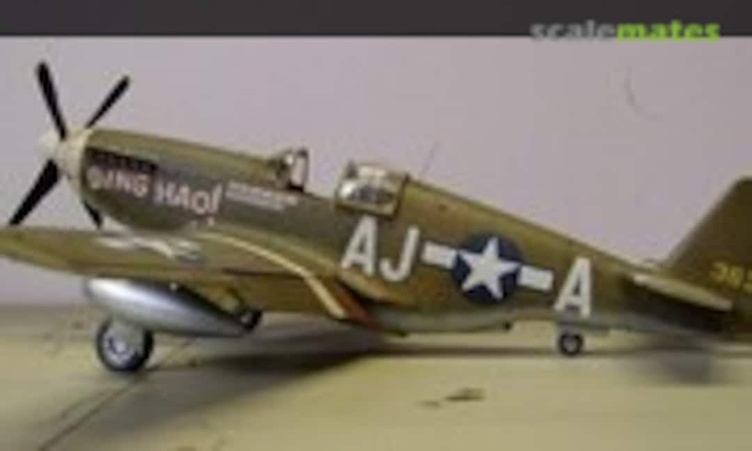 North American P-51C Mustang 1:48