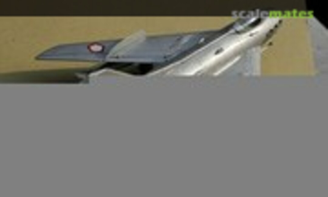 Mikoyan-Gurevich MiG-19 Farmer-A 1:48