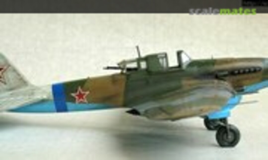 Ilyushin Il-2 Stormovik 1:48