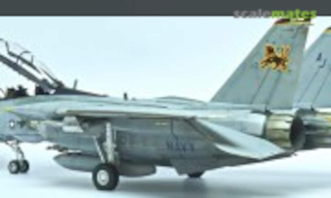 Grumman F-14B Tomcat, Trumpeter 03202 (2010)