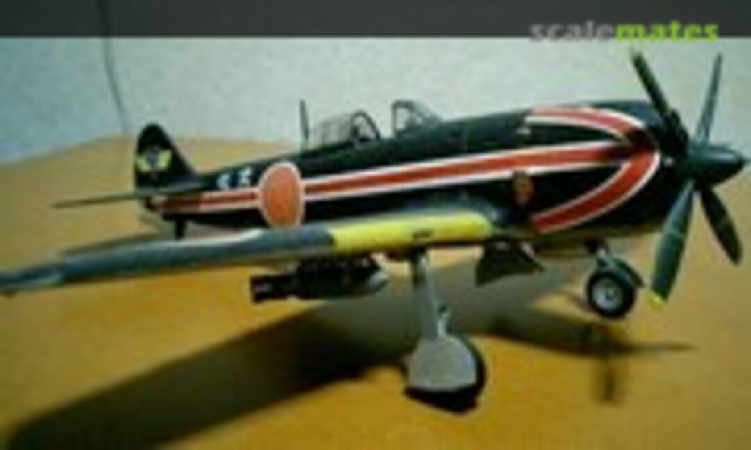 Type 4 Fighter Frank 1:48