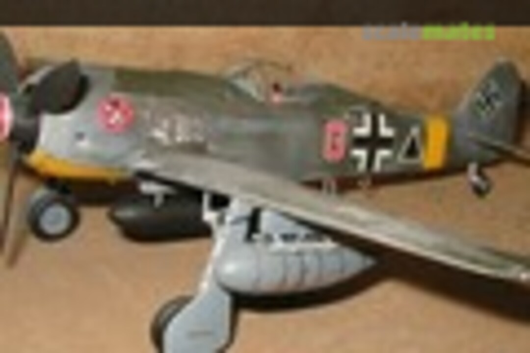 Modeler Focke-Wulf Fw 190G-2/-3 1:48