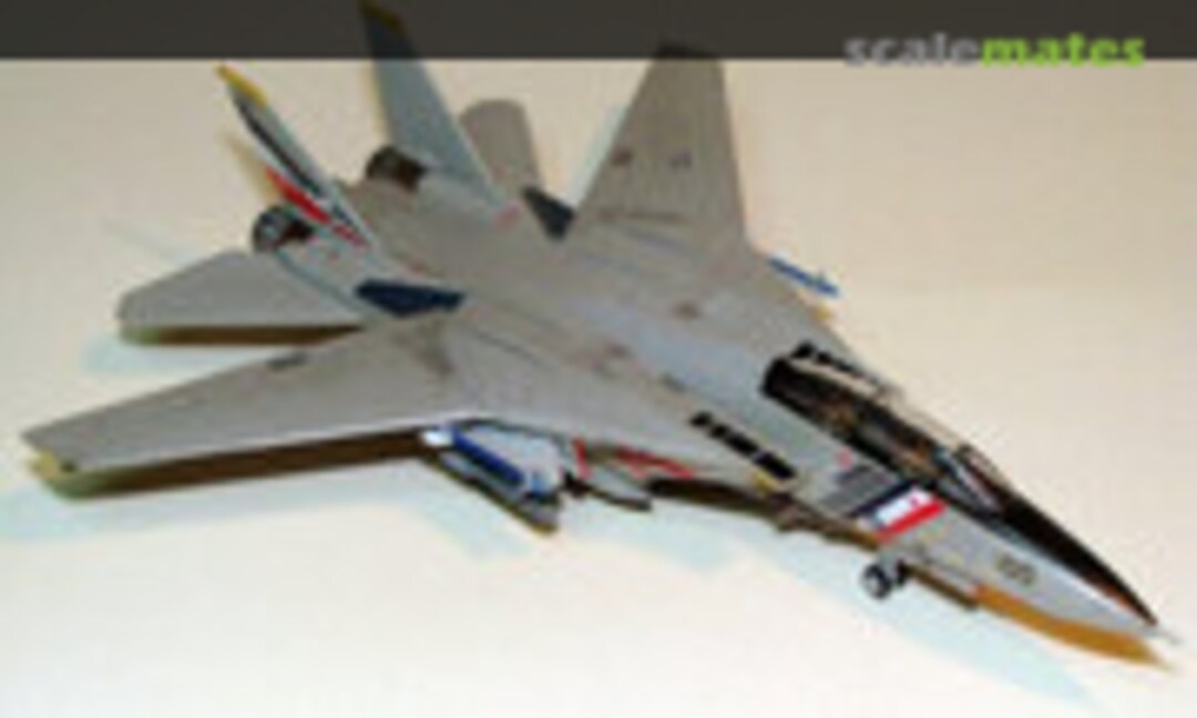 Grumman F-14D Tomcat 1:144