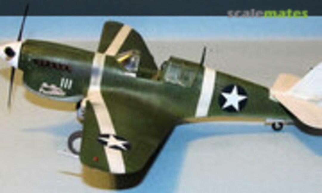 Curtiss P-40M Warhawk 1:48