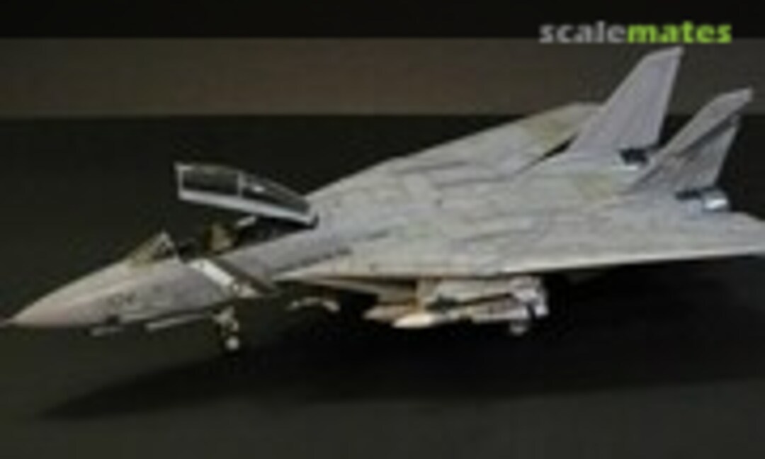 Grumman F-14D Tomcat 1:32