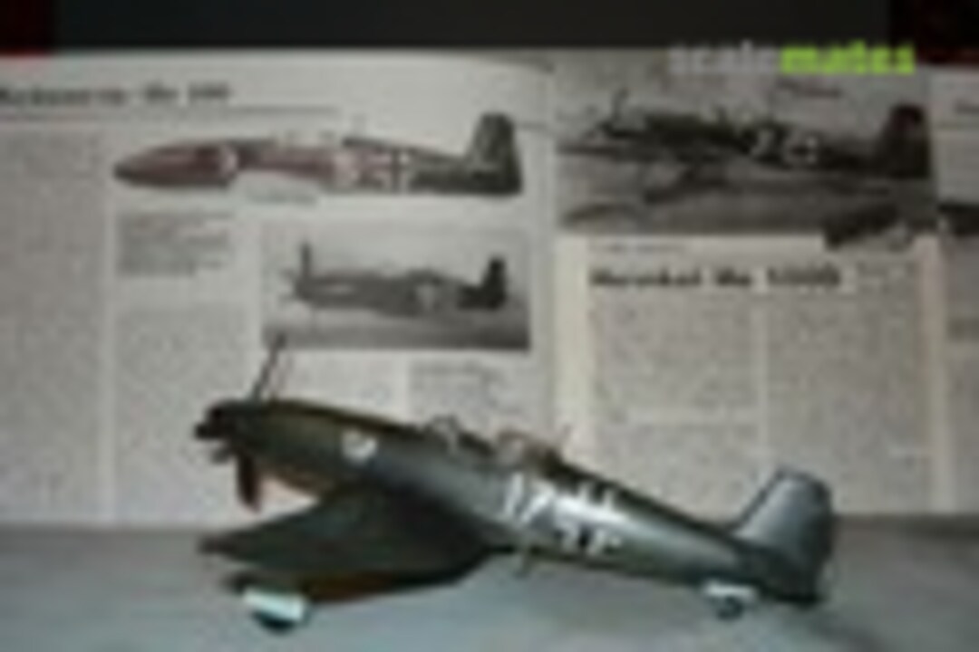 Heinkel He 100 D-1 1:48