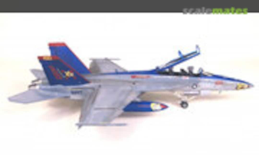 F/A-18E Super Hornet `Chippy Ho´, Hasegawa 09960 (2011)