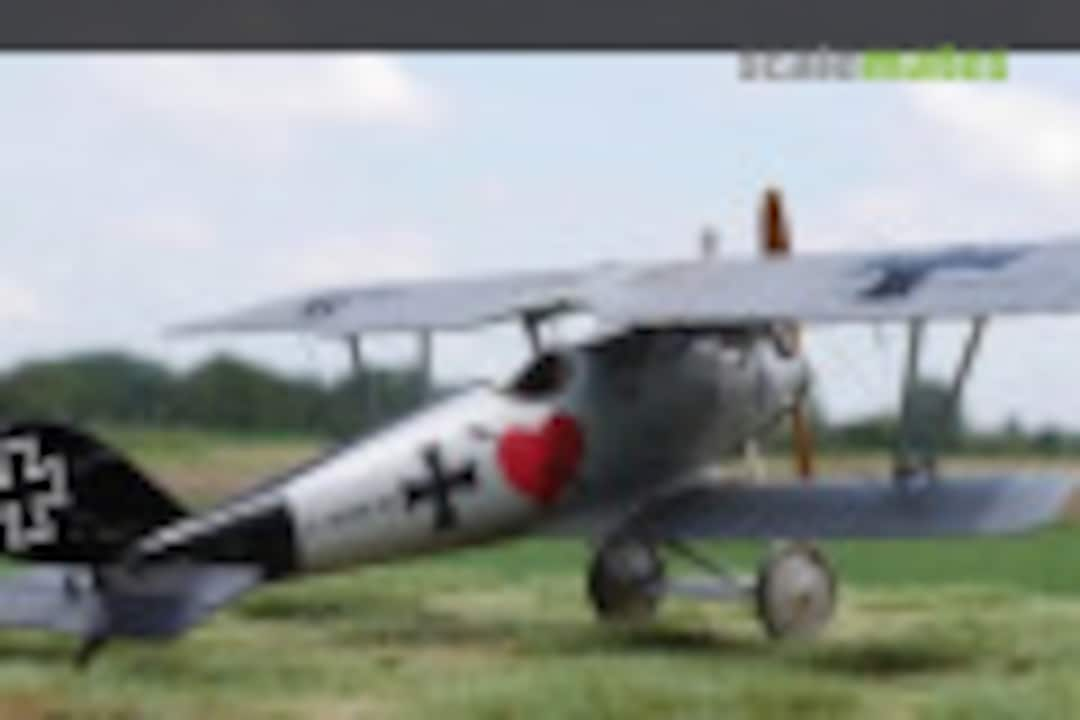 Pfalz D.III 1:48