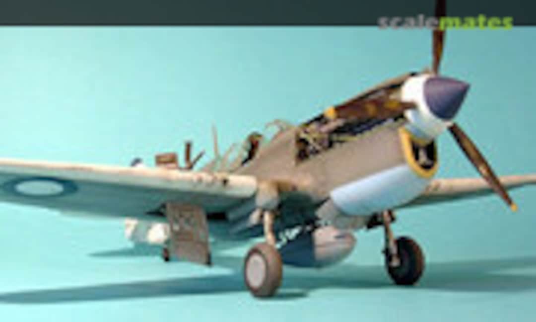 Curtiss P-40N Kittyhawk Mk.IV 1:48