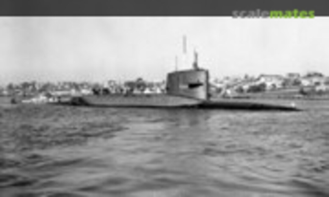 USS Theodore Roosevelt (SSBN-600) 1:350
