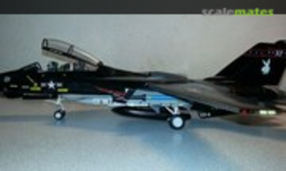 Grumman F-14A Tomcat 1:48