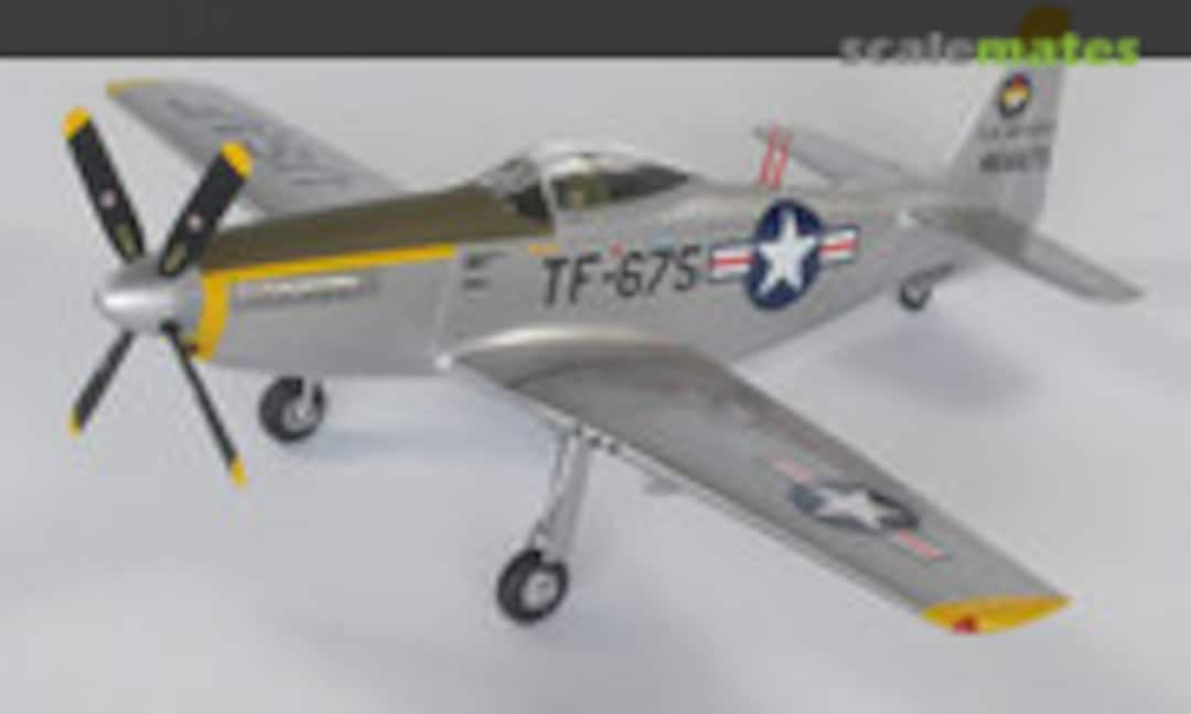 返品交換不可】 ○HAWK ホーク／ムスタング F-51H (1/48) ピクチャー 