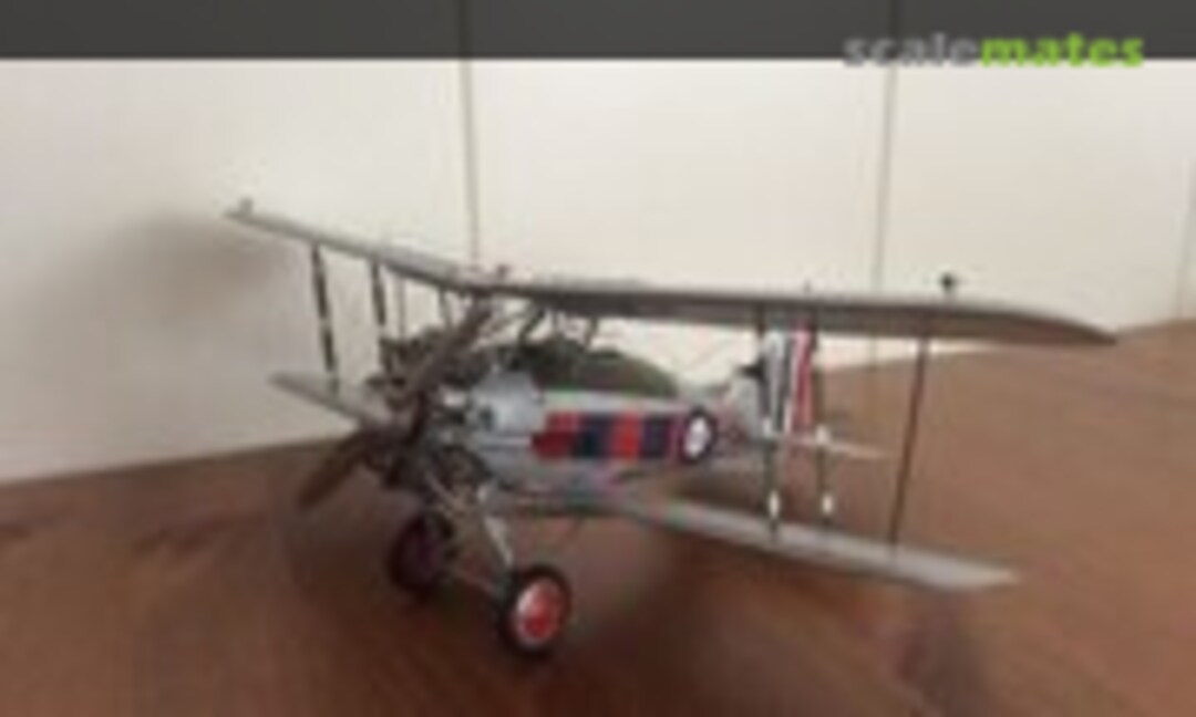Gloster Gamecock 1:32