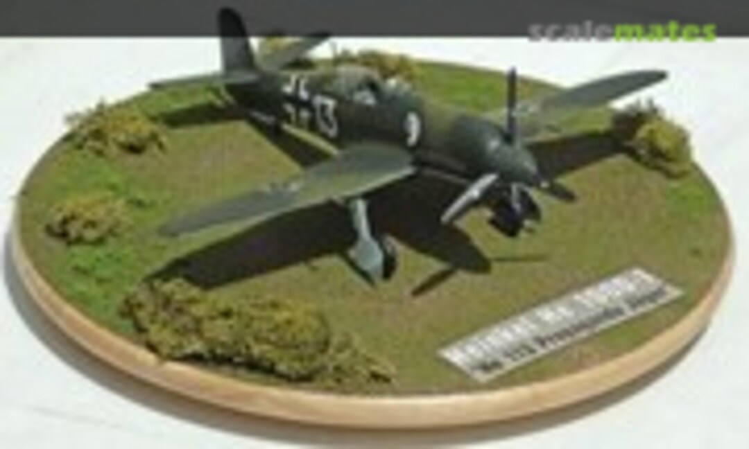Heinkel He 100 D-1 1:32
