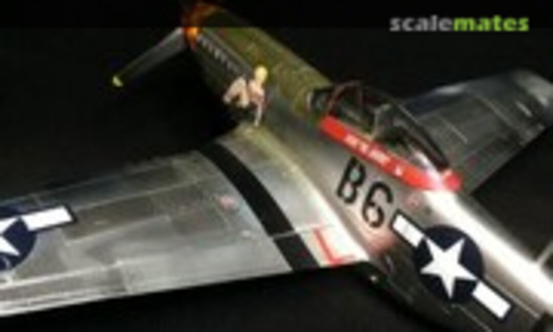 North American P-51D Mustang 1:48