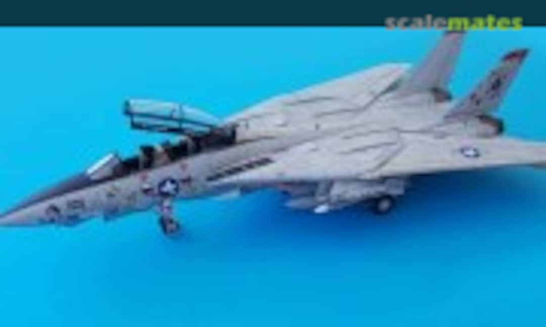 Jagdflugzeug Grumman F-14A Tomcat  1:48