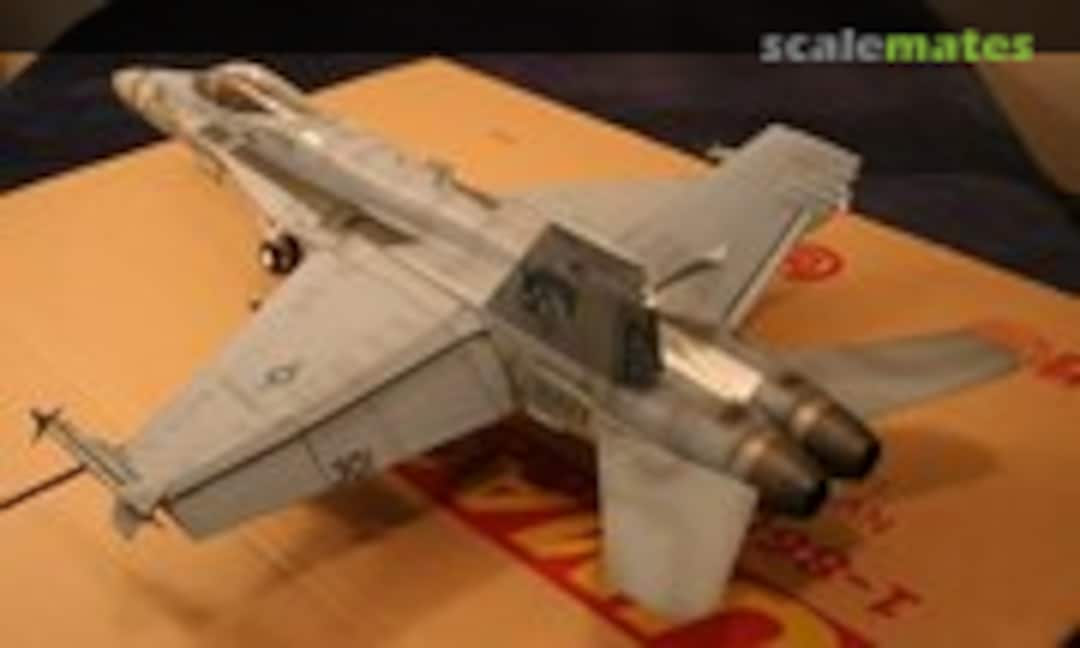 McDonnell Douglas F/A-18C Hornet 1:18