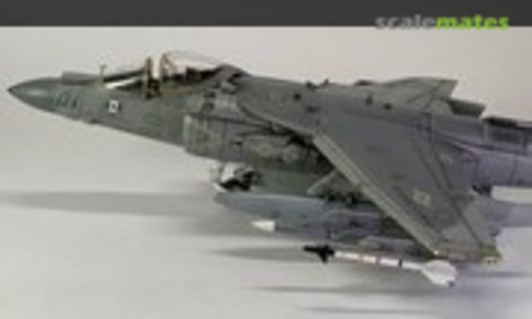 McDonnell Douglas AV-8B Harrier II+ 1:48