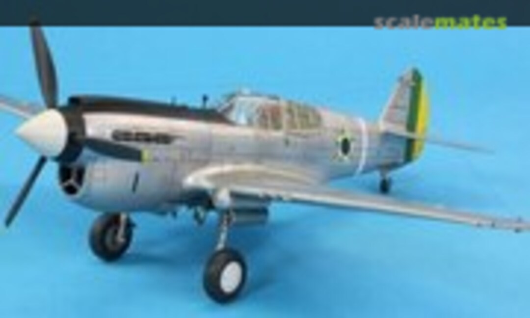 Curtiss F-40E Warhawk 1:48