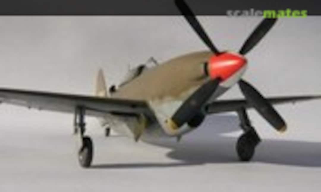 Republic XP-47H Thunderbolt 1:48