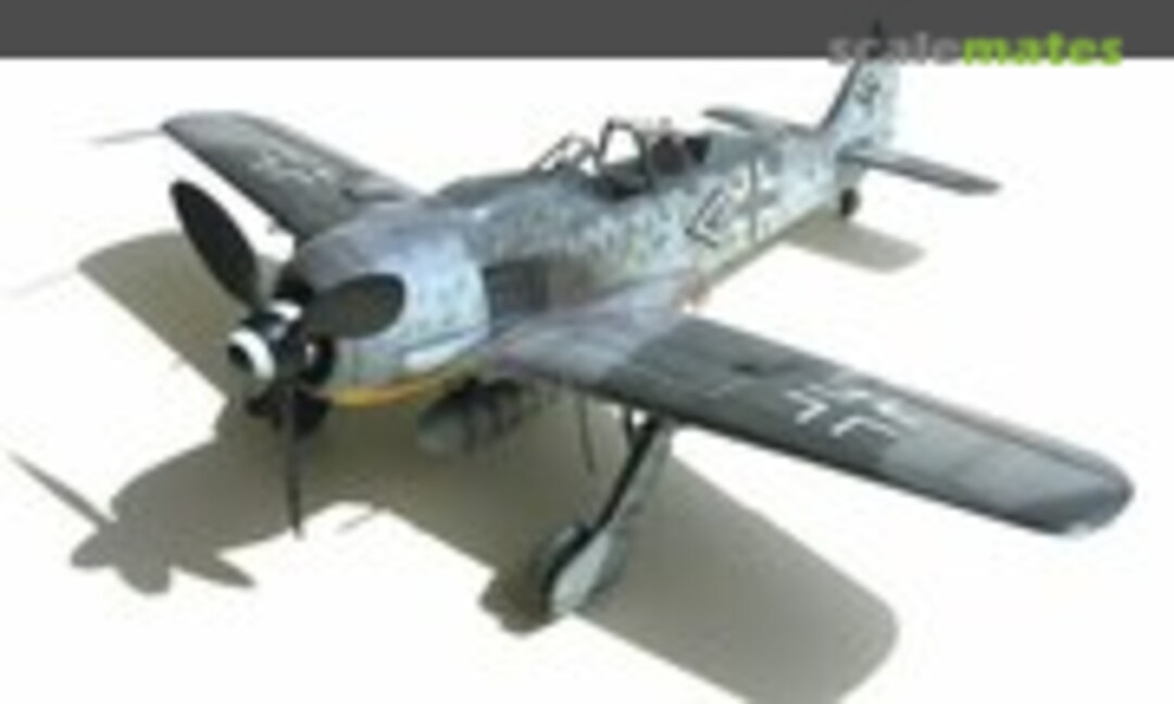 Focke-Wulf Fw 190A-8/R8 1:48