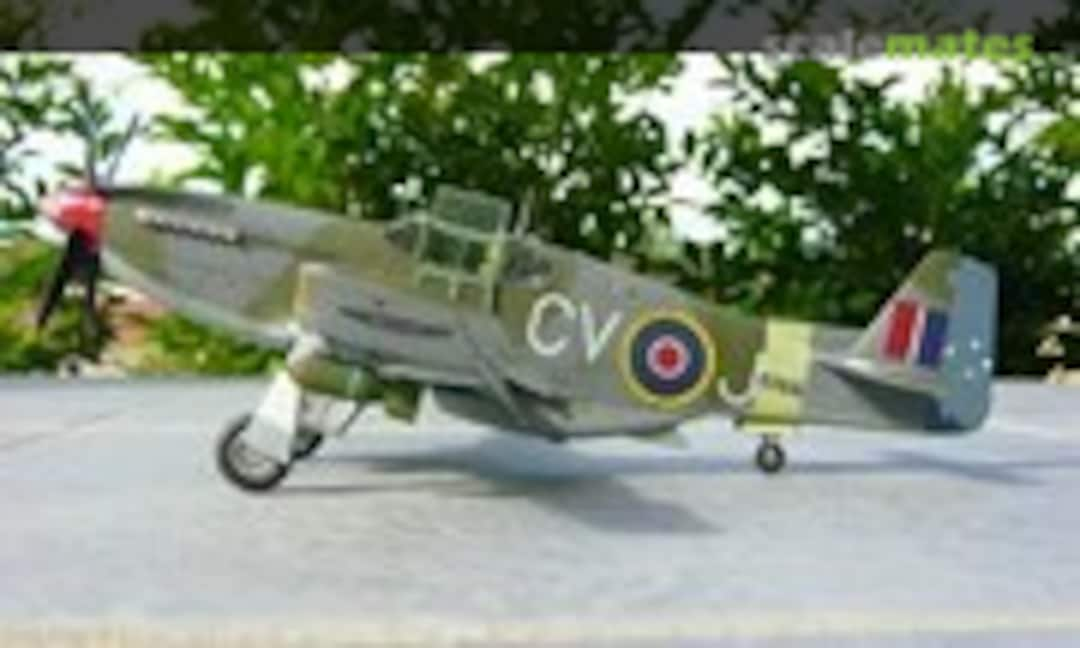 North American Mustang Mk.III 1:48