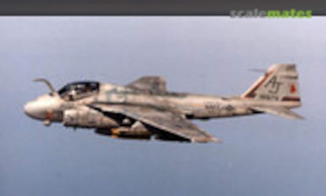 Grumman A-6E Intruder 1:48