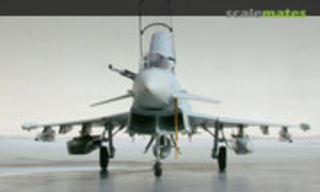 Eurofighter Typhoon 1:32