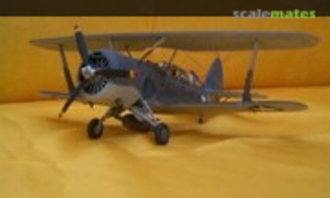 Curtiss SBC-4 Helldiver 1:48