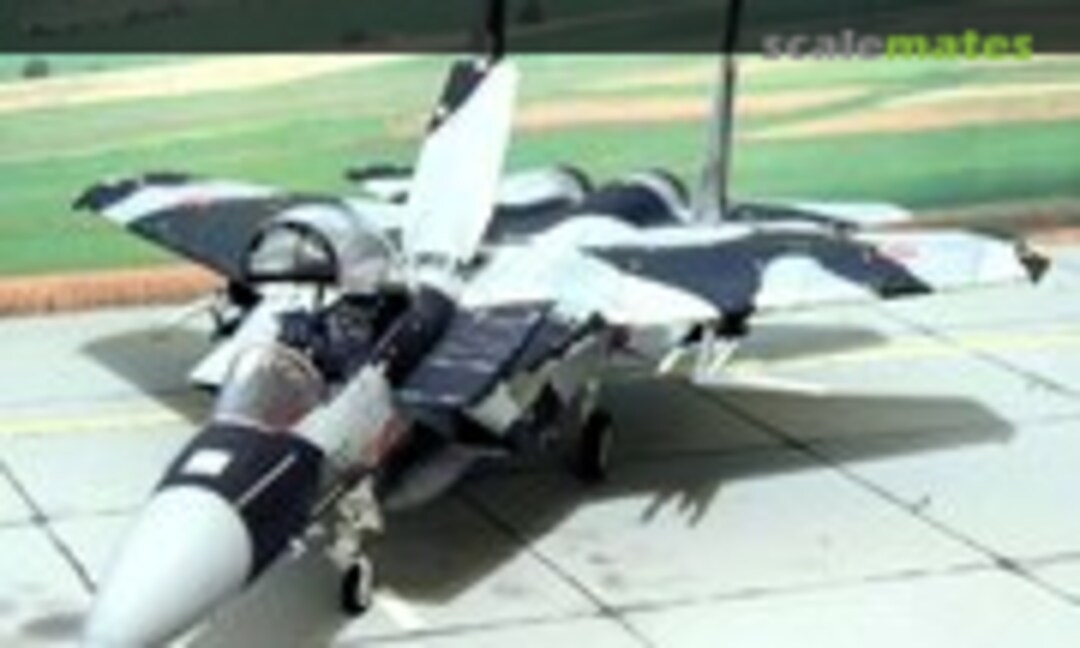 Mitsubishi F-15DJ Eagle 1:48