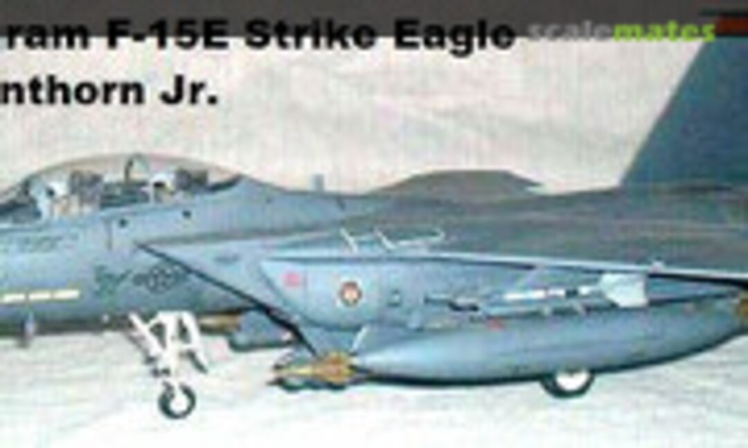 McDonnell Douglas F-15E Strike Eagle 1:48