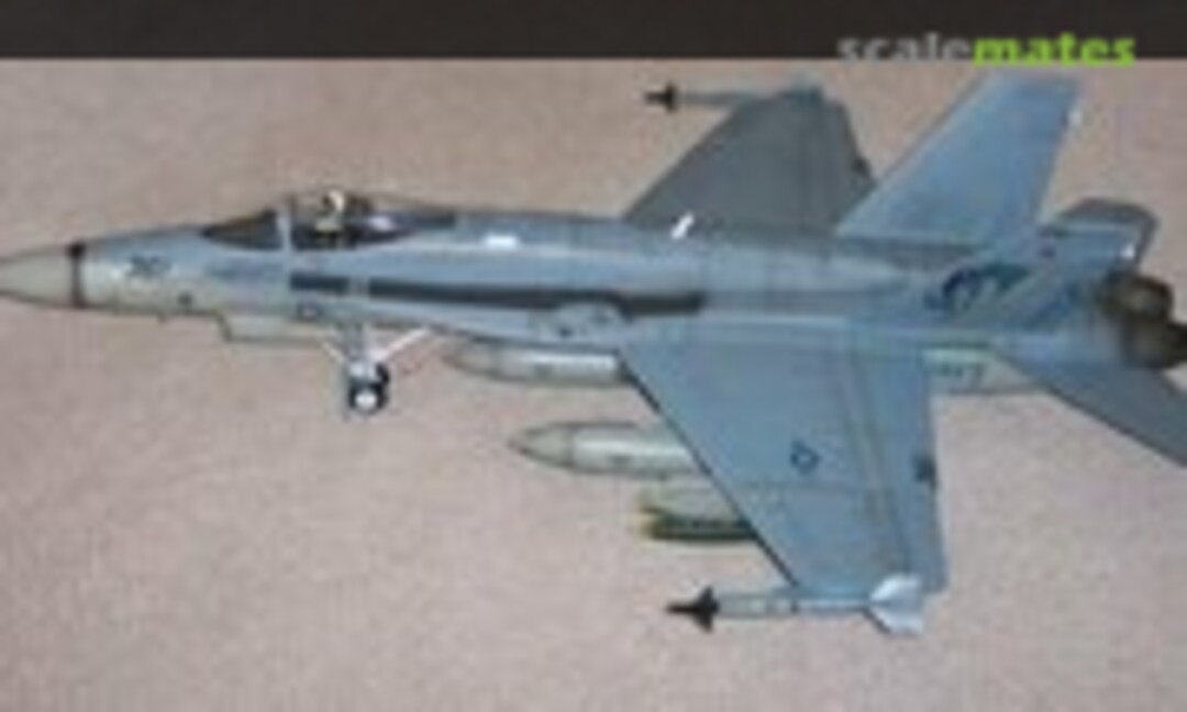 McDonnell Douglas F/A-18C Hornet 1:18