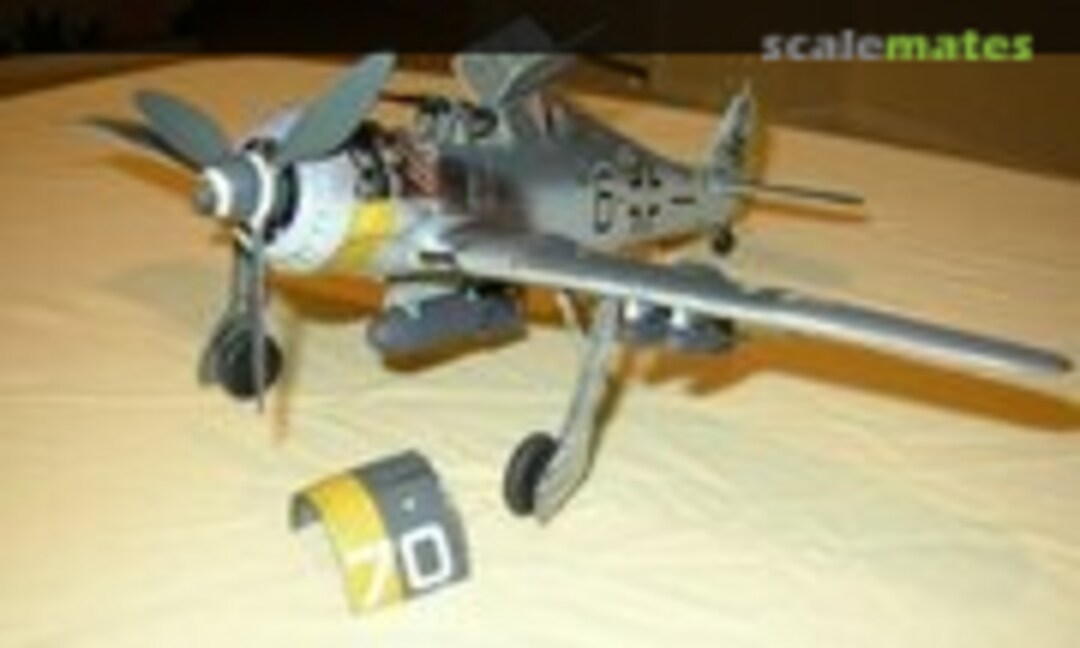 Focke-Wulf Fw 190F-8 1:32